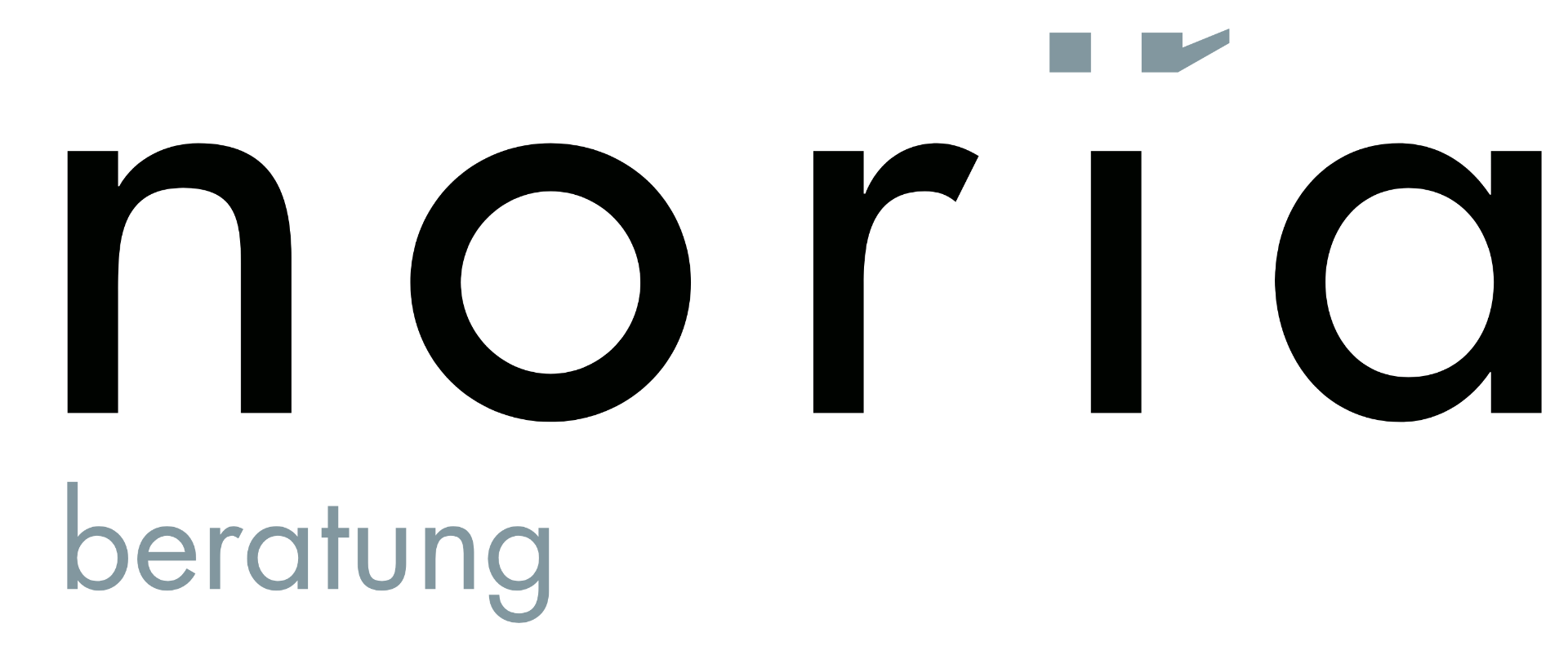 noria Logo