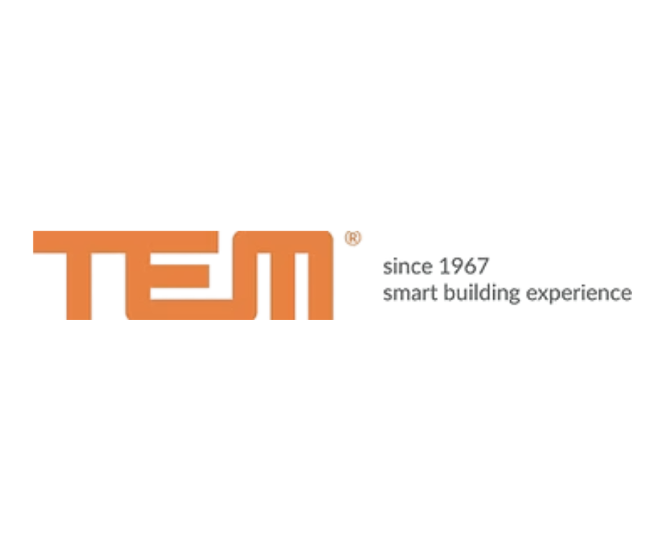 TEM